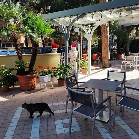 Hotel Hotel Arlecchino 3*