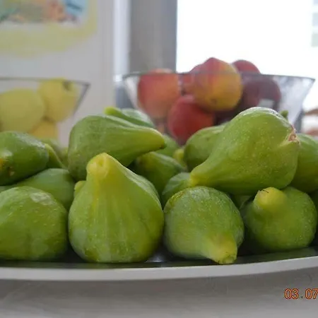 Arlecchino Milano Marittima